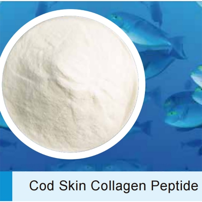 Fish Collagen Peptide Powder