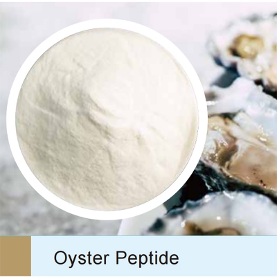 Oyster Protein Peptide Powder