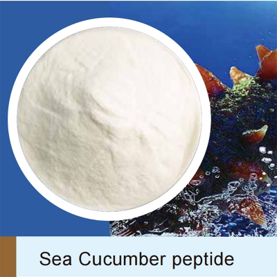Sea Cucumber Protein Peptide Powder