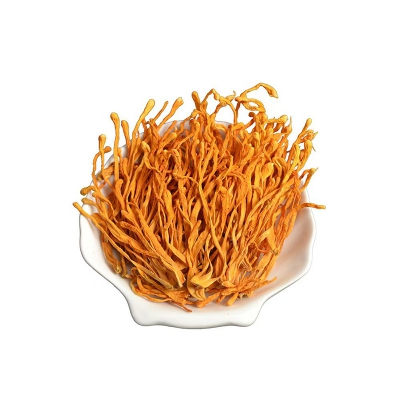 Organic Cordyceps Militaris